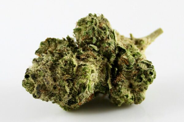 Cannabis – Marijuana, THC, CBD, Synthetics